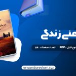 دانلود کتاب درباره معنی زندگی شهاب الدین عباسی در قالب pdf